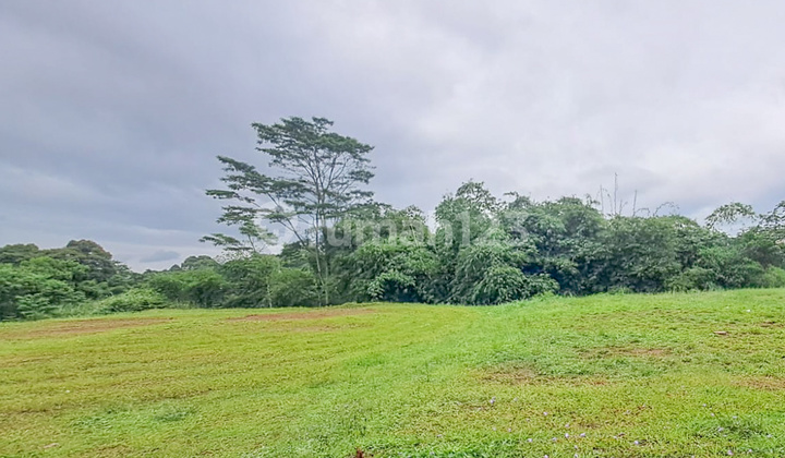 Tanah Kavling View Indah di Rancamaya Bogor Akses ke Sentul City Tanah Kavling View Indah di Rancamaya Bogor Akses ke Sentul City