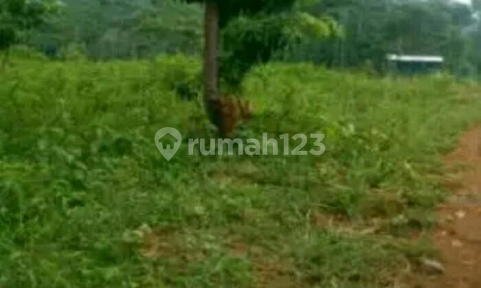 Tanah 5000 Meter di Jonggol Bogor Harga 75 Rb Nego Sampai jadi Tanah 5000 Meter di Jonggol Bogor Harga 75 Rb Nego Sampai jadi