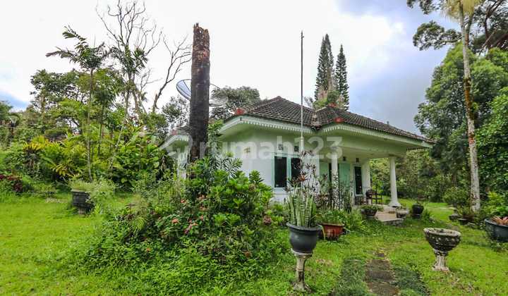 Classic-Style Villa with Cool Air at the Peak of Cimacan Cipanas