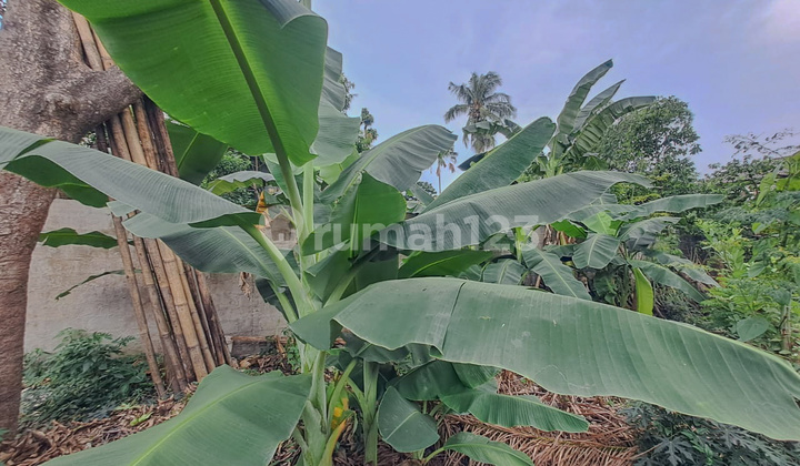 House in Kebon Jeruk Kemanggisan 2