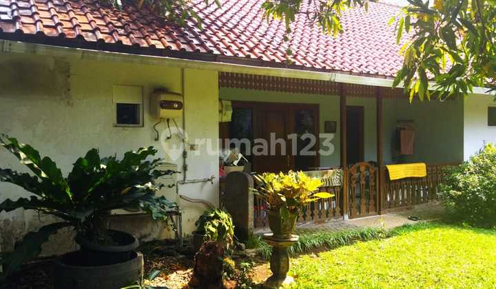 The Coolest and Most Comfortable Menteng House