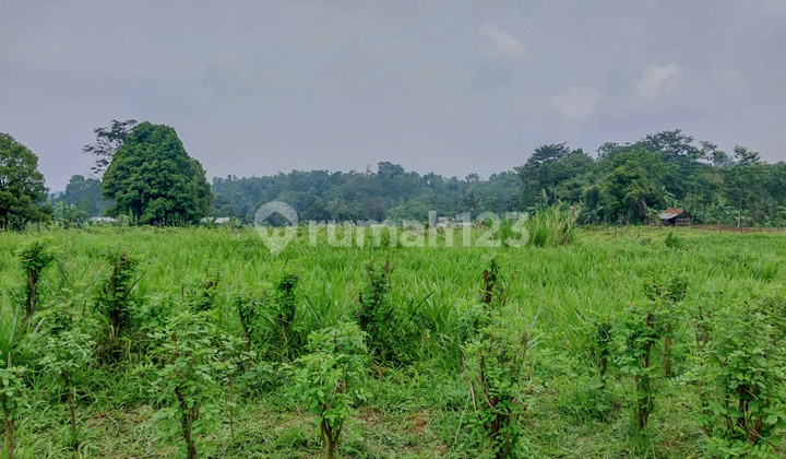 Miliki Tanah Impian di Wanayasa Purwakarta, Jawa barat Sekarang Juga !