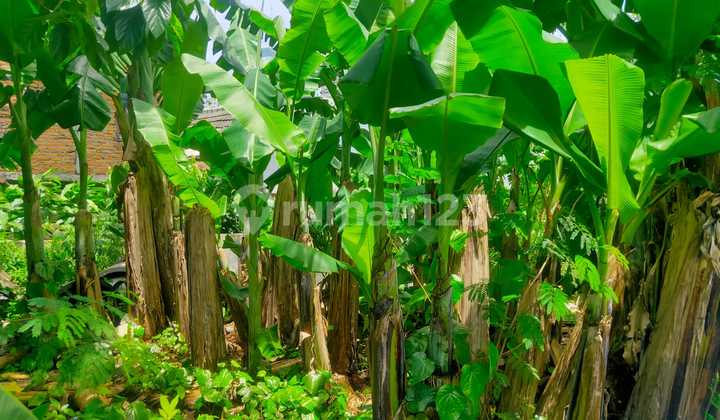 Kavling di Serua Ciputat Dalam Perumahan 