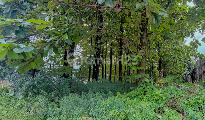 Tanah di Nanggewer Cibinong