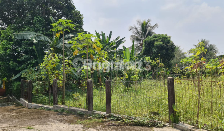 TANAH SHM DI SUKAMANTRI KABUATEN BOGOR TANAH SHM DI SUKAMANTRI KABUATEN BOGOR