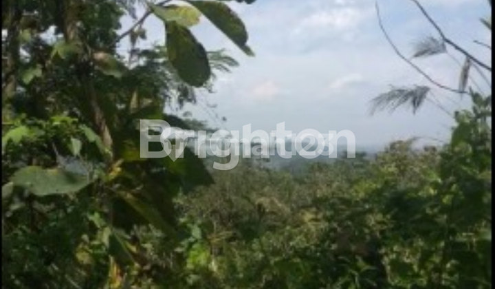 MURAHH!! TANAH SUBUR DI SUKABUMI LAHAN COCOK UNTUK PERKEBUNAN 1