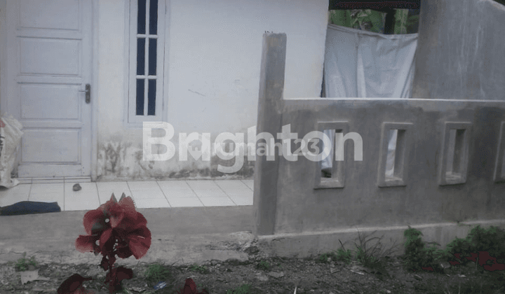 RUMAH MINIMALIS DI CIAPUS KABUPATEN BOGOR 1