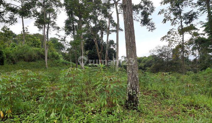 Dijual Tanah Panyandaan Utara Bandung 5
