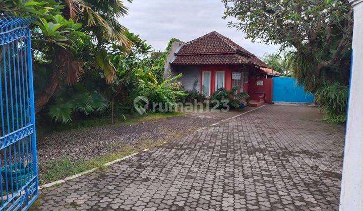 Rumah dengan halaman luas di lokasi strategis Solo 1