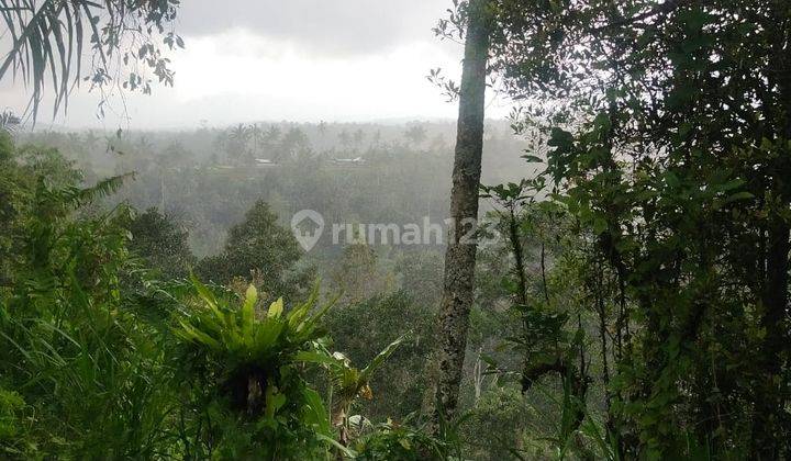 Tanah siap garap di Payangan Ubud, Bali 2