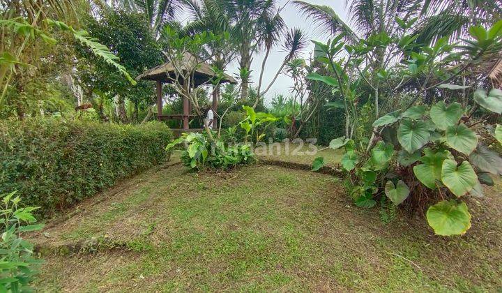 Tanah siap garap di Payangan Ubud, Bali 1