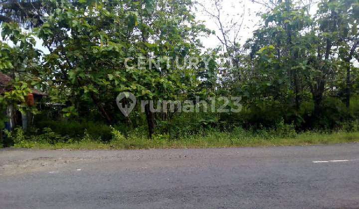 Tanah Strategis Di Karangmojo Gunung Kidul Yogyakarta S8938