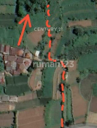 Tanah Kavling Di Pasir Jaya Cigombong S8962