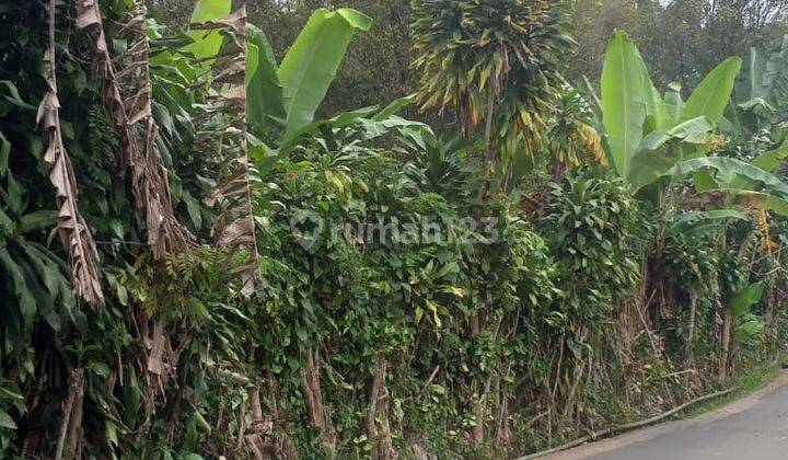 Tanah Kebun Luas Pinggir Jalan Di Kp Palasari Girang S7866 2