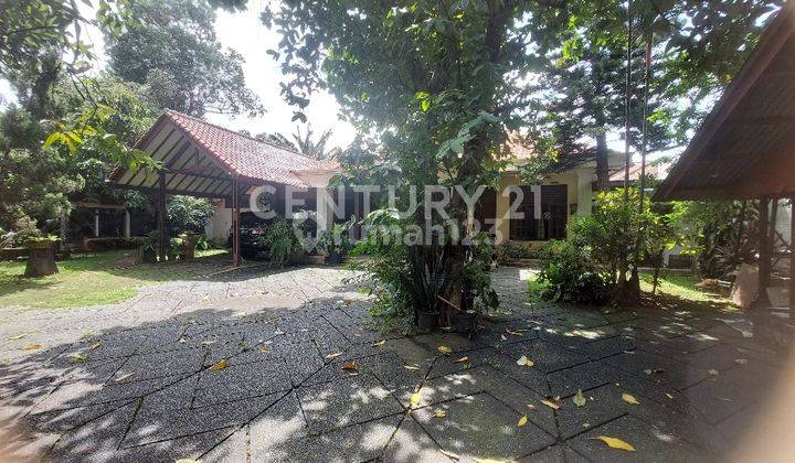 Rumah Besar Luas Dan Asri Di Kebayoran Lama S7438 2