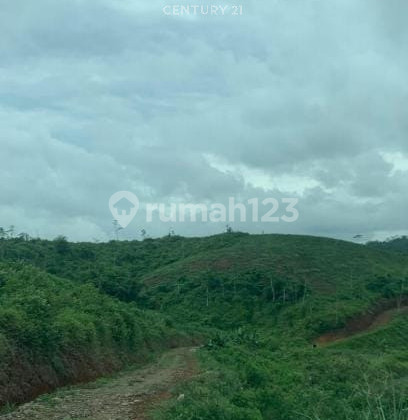 Tanah Lahan Perkebunan Cocok Untuk Tempat Wisata Di Cianjur S8539