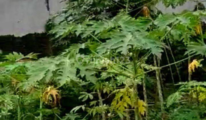 Dijual Kavling Dekat Universitas Binus Summarecon Bekasi 5
