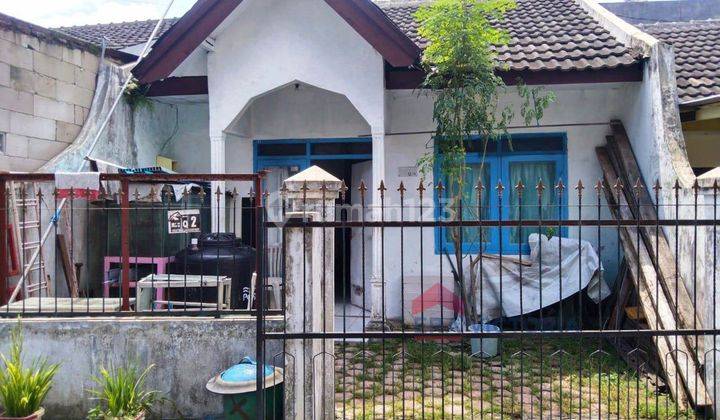 Rumah Dibawah 500 Juta Dekat Kampus UMM Landungsari Dau 1