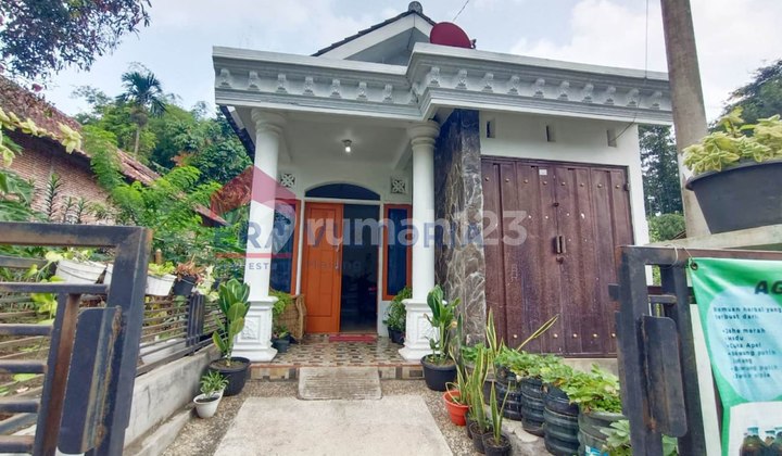 Jual Cepat Tanah Dan Bangunan Rumah Di Tumpang 2