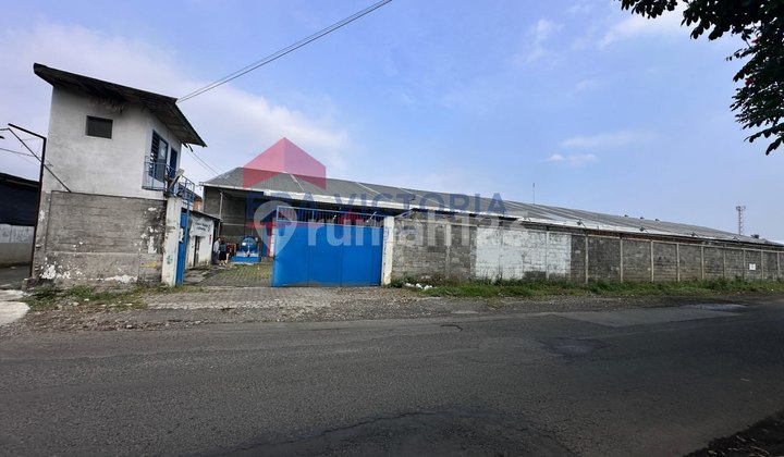 Ready-to-Use Warehouse Pakis