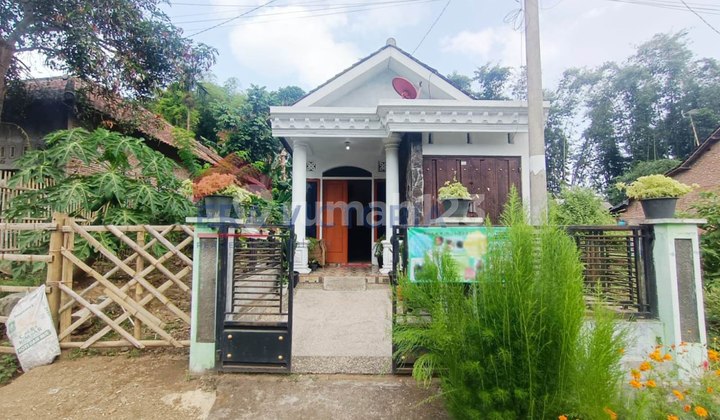 Jual Cepat Tanah Dan Bangunan Rumah Di Tumpang 1