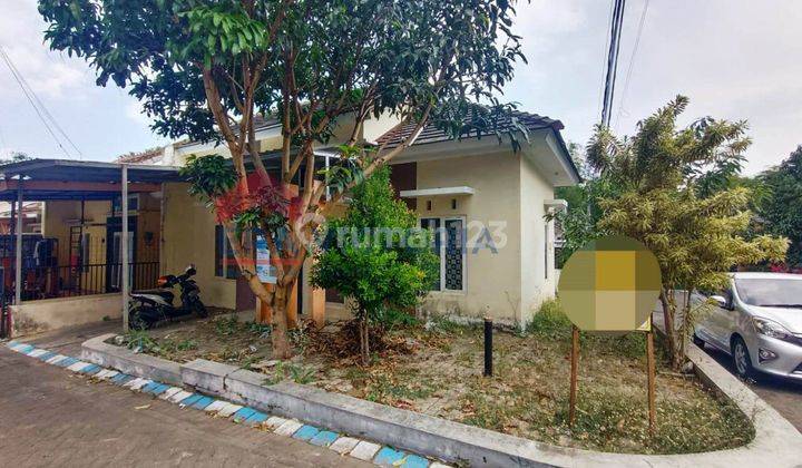 Rumah 1 Lantai Dekat Kampus di Tunggulwulung Lowokwaru 2