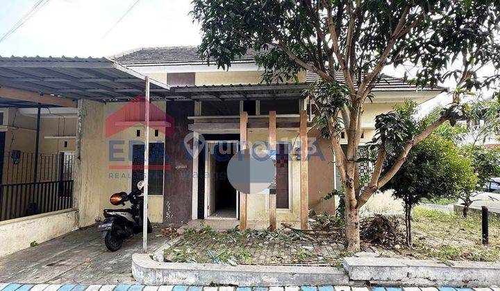 Rumah 1 Lantai Dekat Kampus di Tunggulwulung Lowokwaru 1