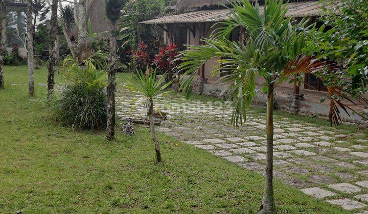 Jual Tanah Dekat Ubud 1