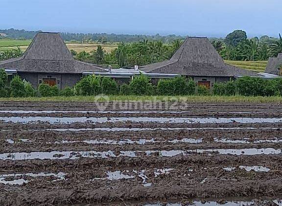 Jual tanah view laut dan gunung 2