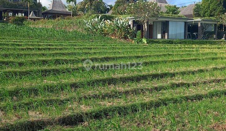 Jual tanah sawah view laut dan gunung 2