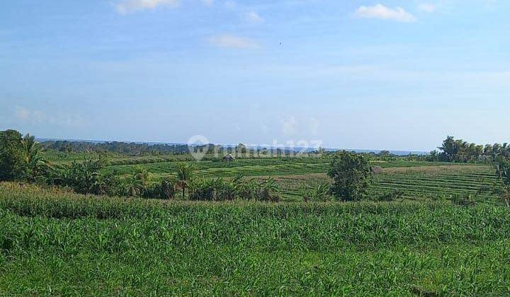 Jual tanah sawah view laut dan gunung 2