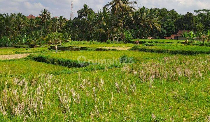 Jual tanah ubud payangan 1