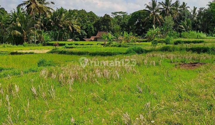 Jual tanah ubud payangan 2