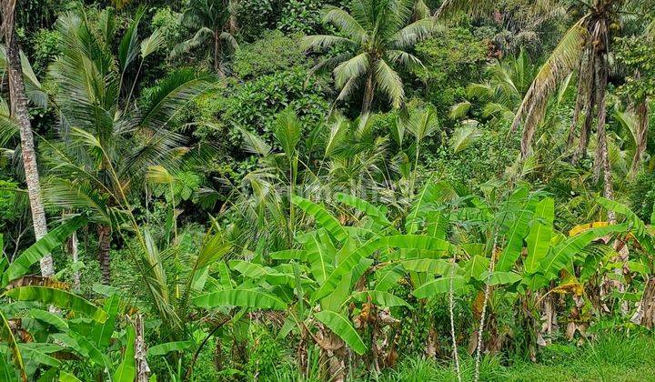 Jual tanah ubud payangan 2