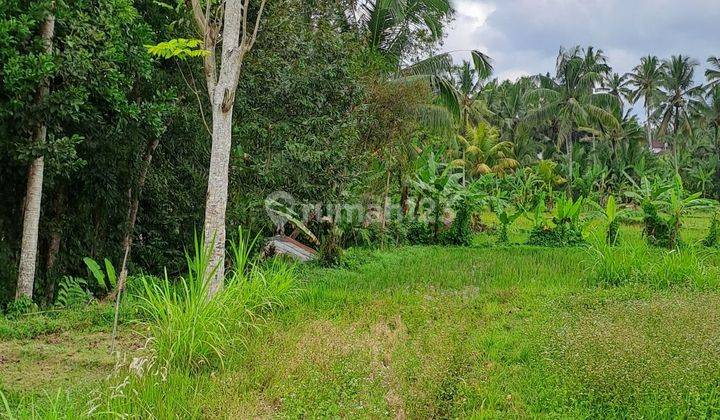 Sell Ubud payang land 2