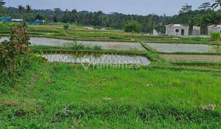 Jual tanah sawah 2