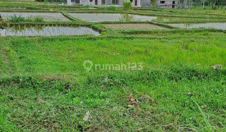 Jual tanah sawah 2