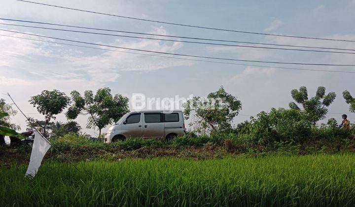 TANAH MURAH BENTUK SAWAH LOKASI STRATEGIS DEKAT TOL SERANG TIMUR 1