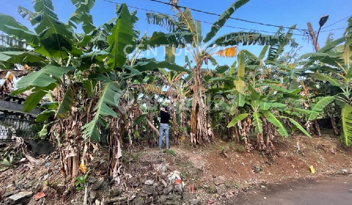 Tanah Kavling One Gate System Bukit Cimanggu Villa S9018