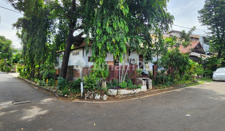 Rumah Tua Hitung Tanah Di Cempaka Putih S8657