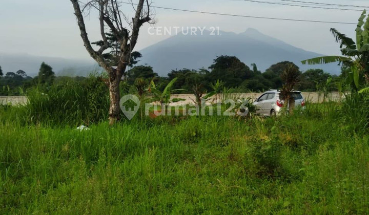 Tanah Luas Lokasi Strategis Di Bojong Kerta Bogor S8700 1
