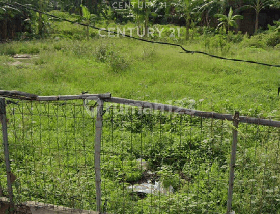 Land in a Strategic Location, North Tambun Roadside S9466