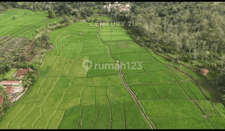 Tanah Luas Cocok Untuk Resort Di Cilaku NS0003 1