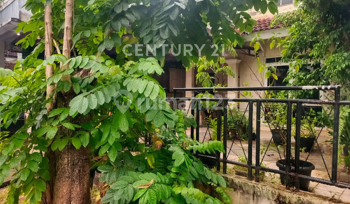 Rumah 1,5 Lantai Sektor 7C, Gading Serpong S9039 2