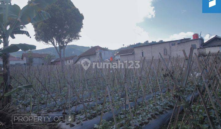 Tanah Jayagiri Lembang Sertifikat Hak Milik 2