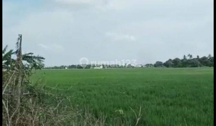Dijual Tanah Depan Jalan Raya di Karang Harum Kedung Waringin Kab. Bekasi. 1