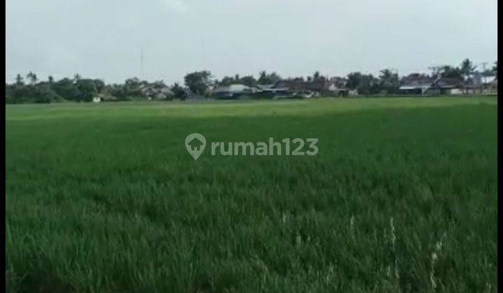 Dijual Tanah Depan Jalan Raya di Karang Harum Kedung Waringin Kab. Bekasi. 2