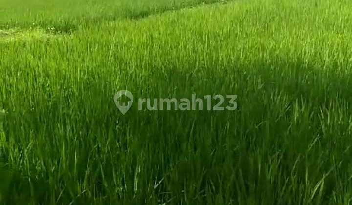 Jual Lahan di Kawasan Industri Pancatama, Serang, Banten