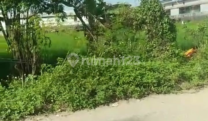 Jual Lahan di Kawasan Industri Pancatama, Serang, Banten