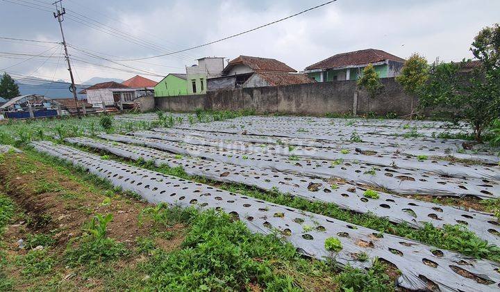 Tanah kavling Bonus Rumah Strategis Di Mainroad Lembang Jayagiri  2